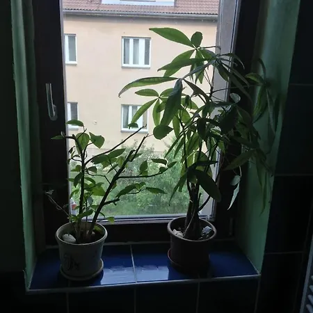 Double Storey Loft In Family Vila Near City Center Πράγα