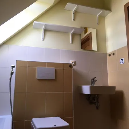 Double Storey Loft In Family Vila Near City Center Διαμέρισμα Πράγα